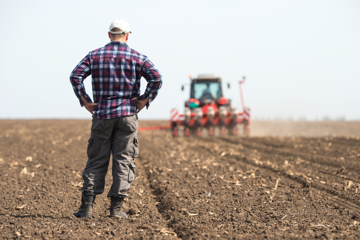 man in flannel shirt and cargo pants overlooks a field being ploughed by a red tractor